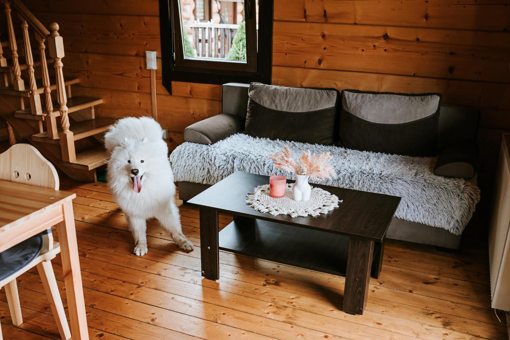Domki,,Chatki Goralskie " Rabka-Zdrój Esterno foto